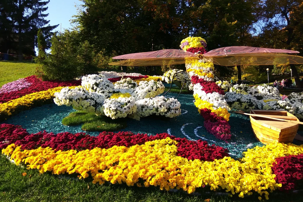 Chrysanthemums on display at the Sapporo Chrysanthemum Festival in Sapporo, Japan, during autumn