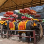 Ayutthaya