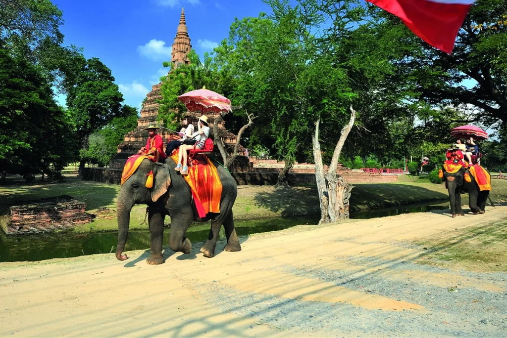 Tourists riding elephants adorned in traditional Thai decorations, passing by ancient temples in Ayutthaya under a bright blue sky.