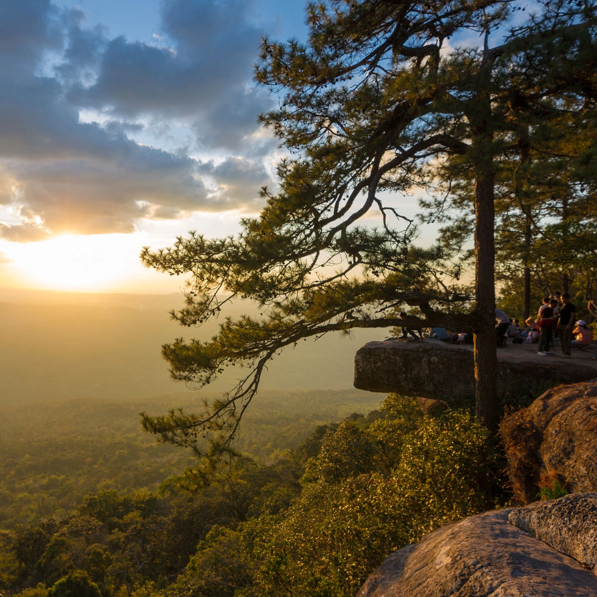 5 must-visit check-in spots at Phu Kradueng featuring stunning viewpoints, waterfalls, and serene natural landscapes for a December getaway