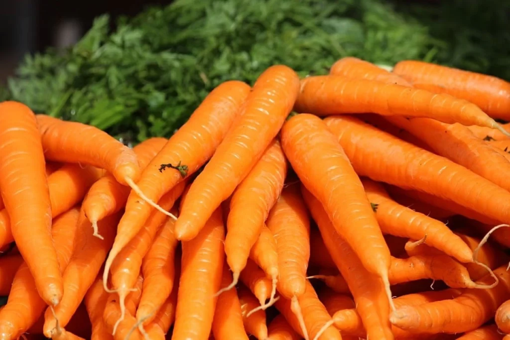 Homemade cold-pressed carrot oil in a glass bottle, surrounded by fresh carrots and carrier oil, highlighting its natural skincare benefits.