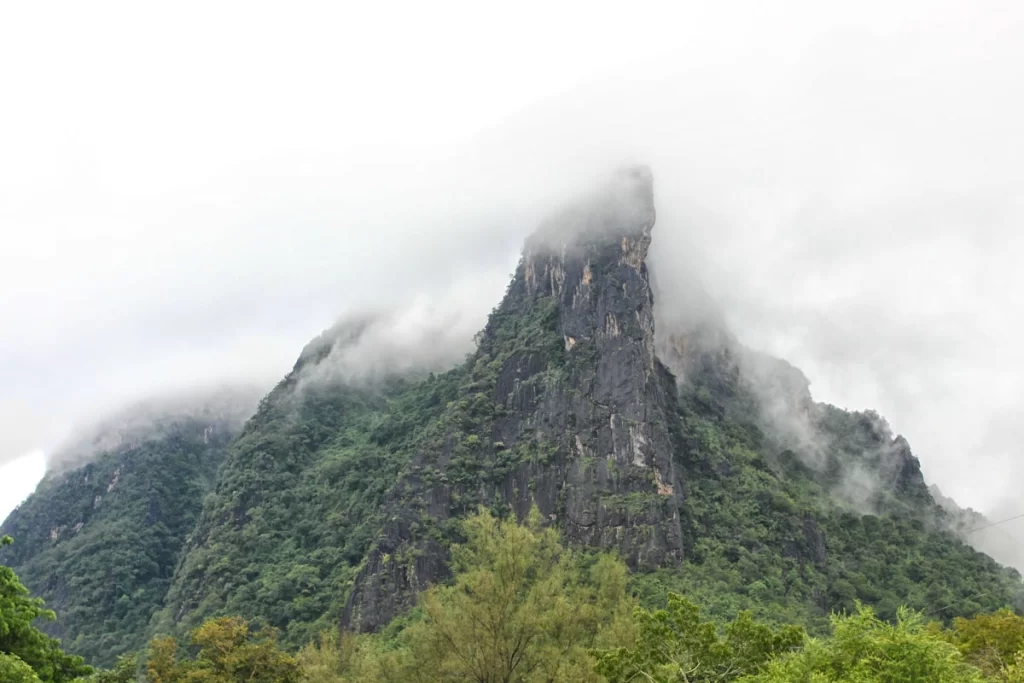 5 must-visit check-in spots at Phu Kradueng showcasing natural beauty, iconic viewpoints, and serene landscapes during December