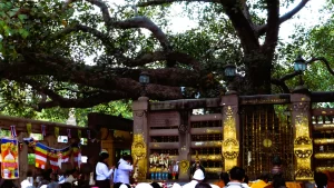 The sacred Bodhi Tree in Bodh Gaya, where Buddha attained enlightenment, surrounded by devotees in prayer